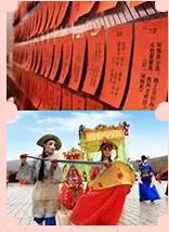 多米機械：元宵佳節(jié)祈團(tuán)圓，愿你好夢樣樣圓！